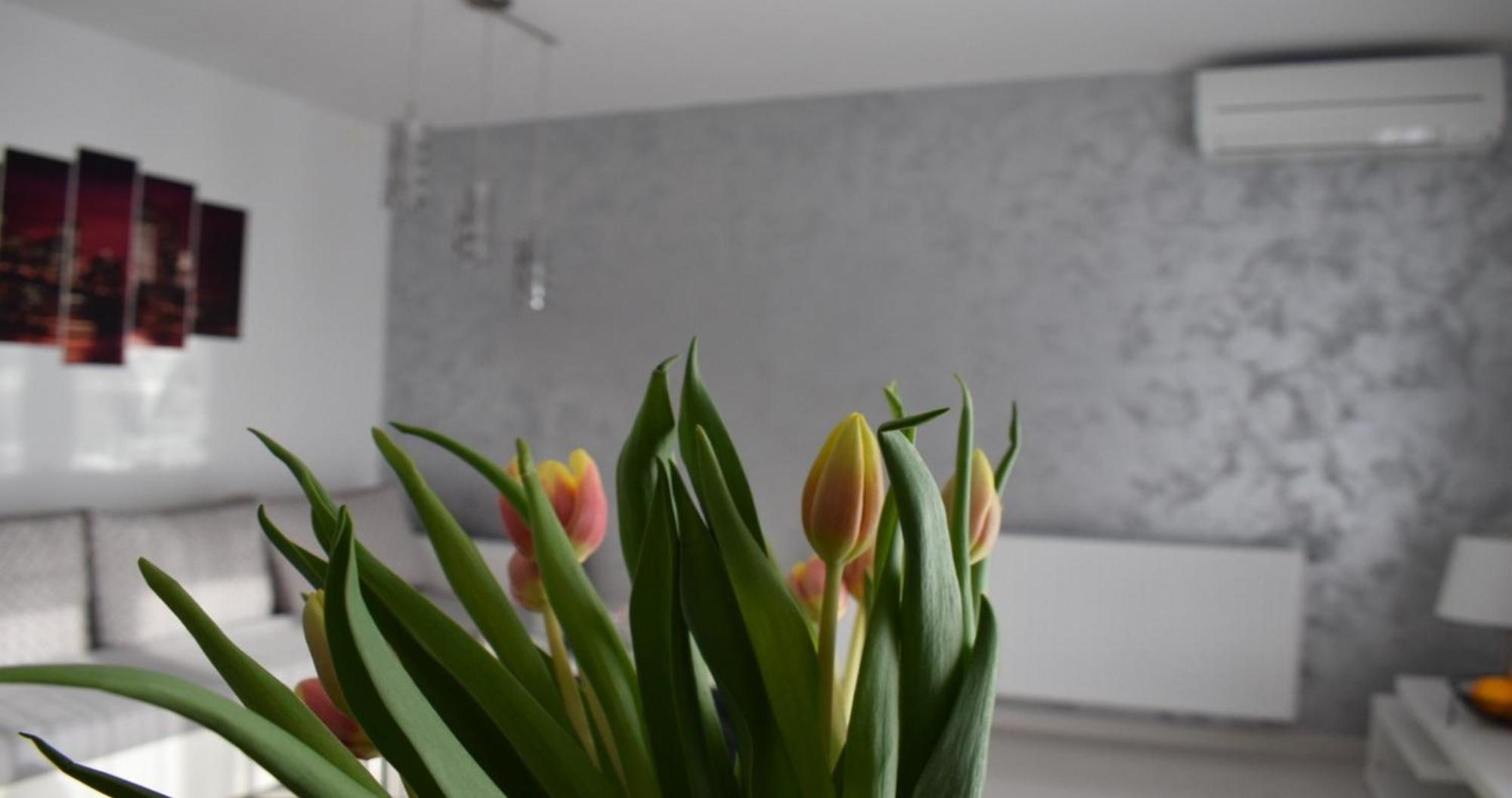 Apartmani Foresta Kras Bagian luar foto